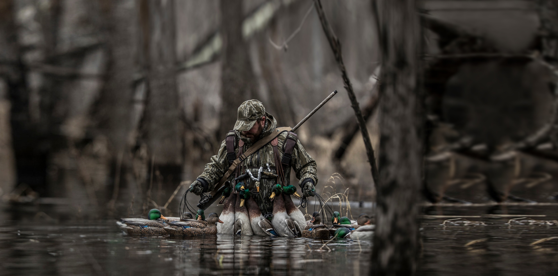 Waterfowl Hunting 2023